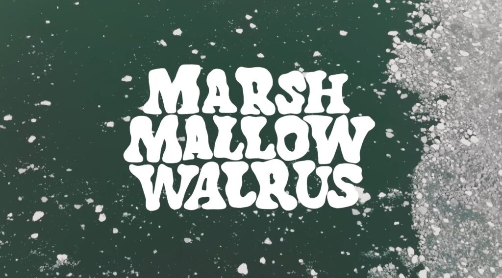 MARSHMALLOW WALRUS